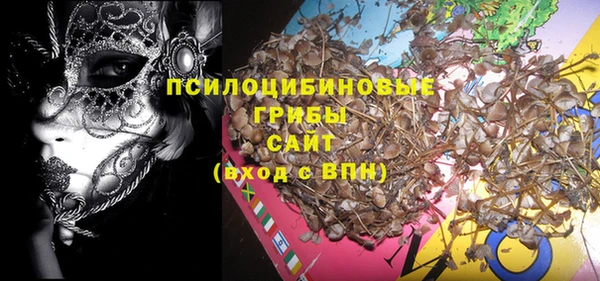 ПСИЛОЦИБИНОВЫЕ ГРИБЫ Янаул