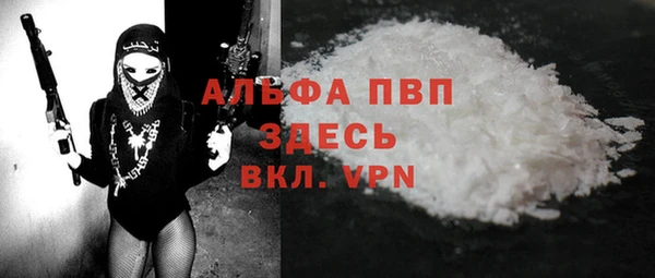 молекула духа Елабуга