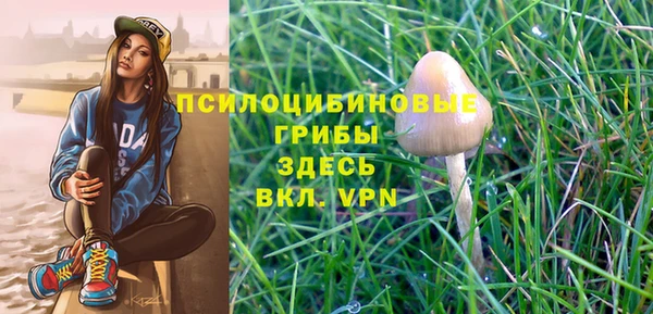 винт Заволжье