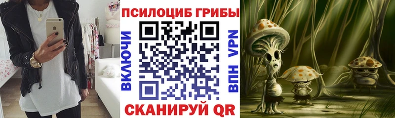 Псилоцибиновые грибы Psilocybe  мега ONION  Лодейное Поле  наркота 
